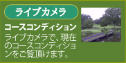 ライブカメラ　コースコンディション　ライブカメラの前で、現在のコースコンディションをご覧いただけます。